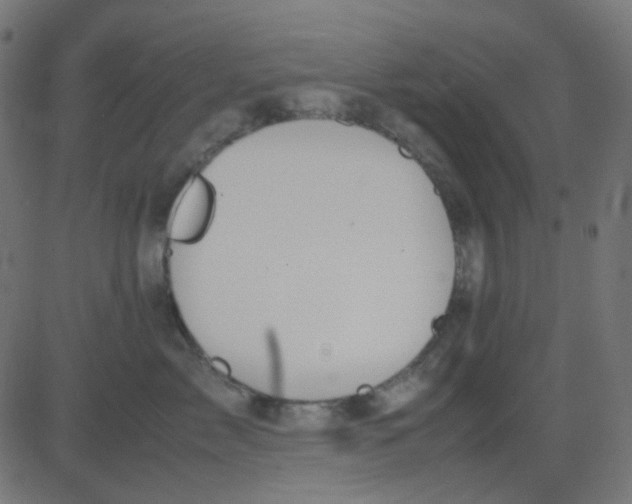 X0000081310717200702012334