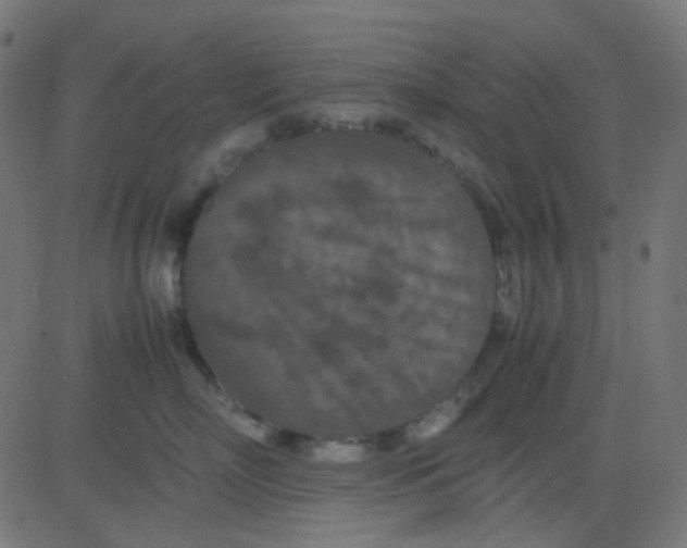 X0000081310718200702012334