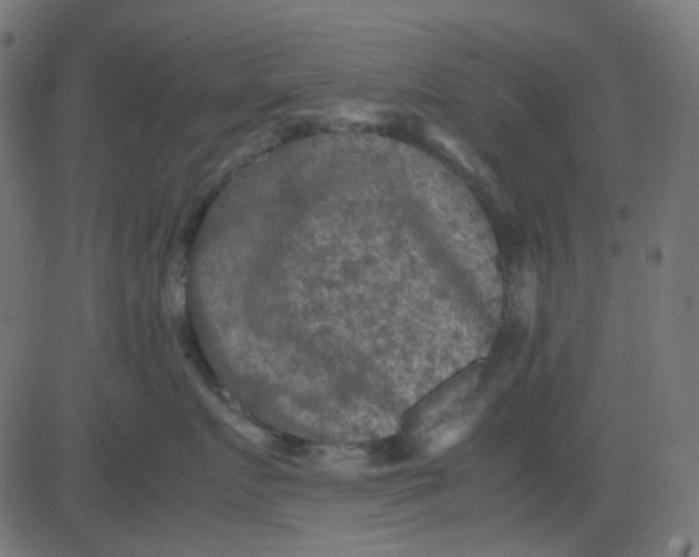 X0000081310719200702012334