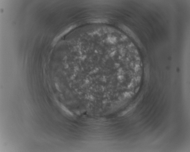 X0000081310721200702012333