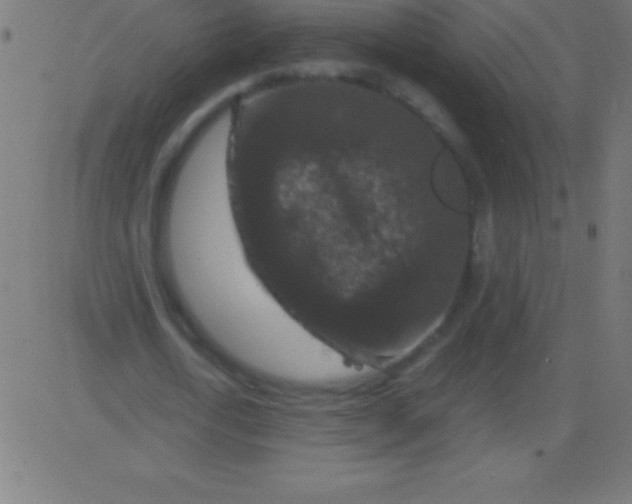 X0000081310722200702012333