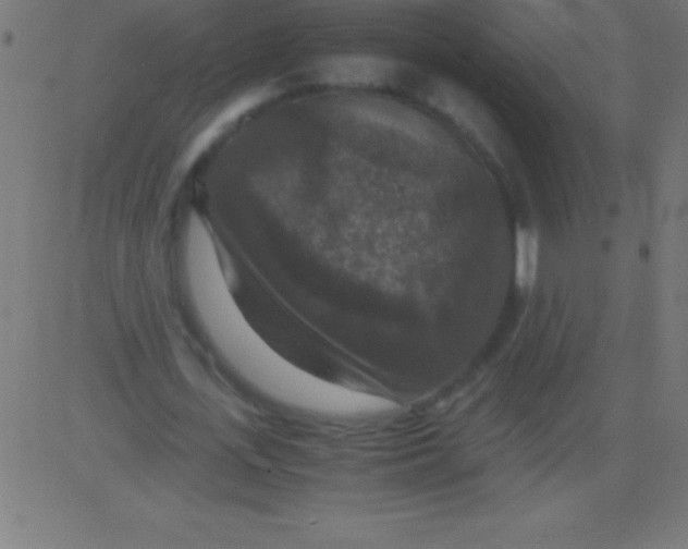 X0000081310723200702012333