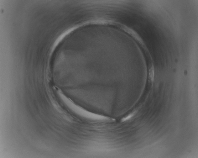 X0000081310724200702012333