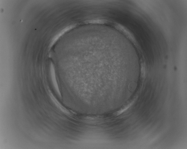 X0000081310725200702012333