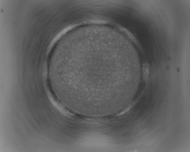 X0000081310726200702012333