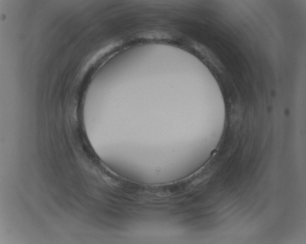 X0000081310727200702012333