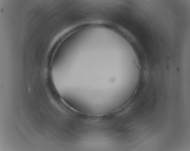 X0000081310728200702012333