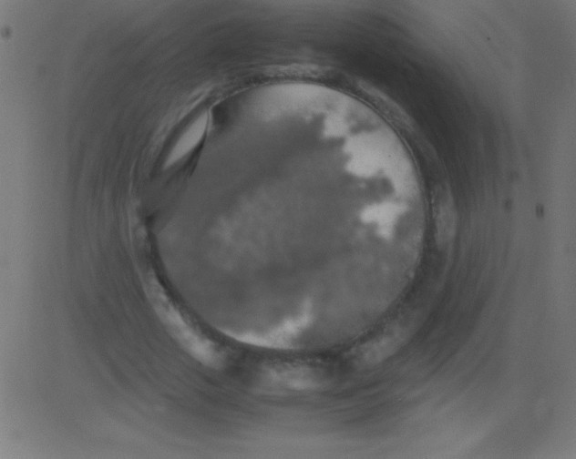 X0000081310729200702012333