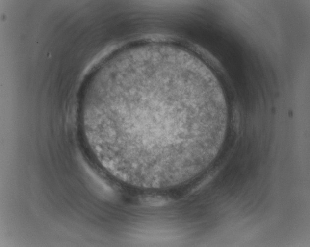 X0000081310730200702012333