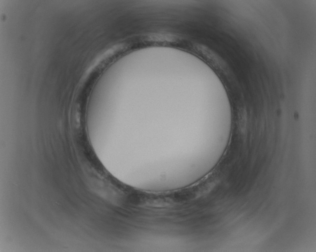 X0000081310731200702012333