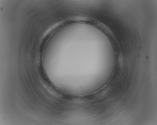 X0000081310732200702012334