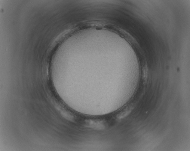 X0000081310733200702012334