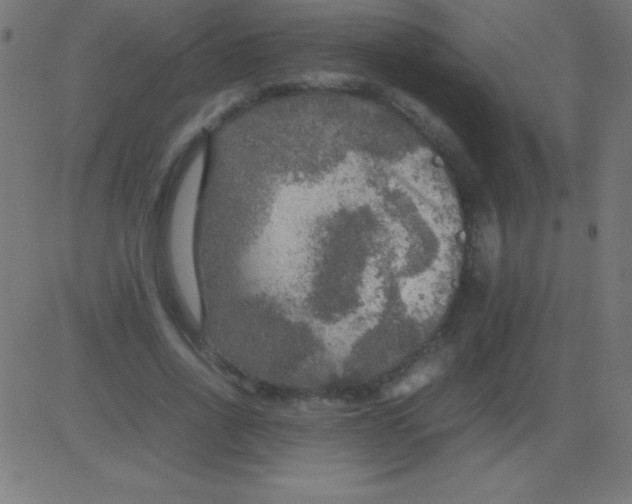 X0000081310734200702012334