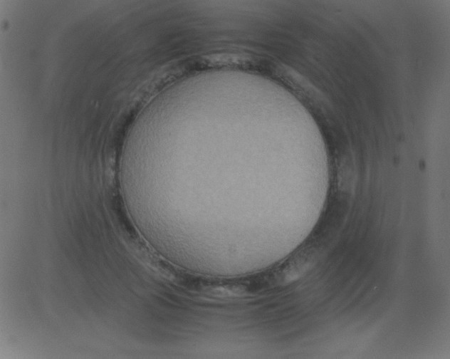 X0000081310737200702012334