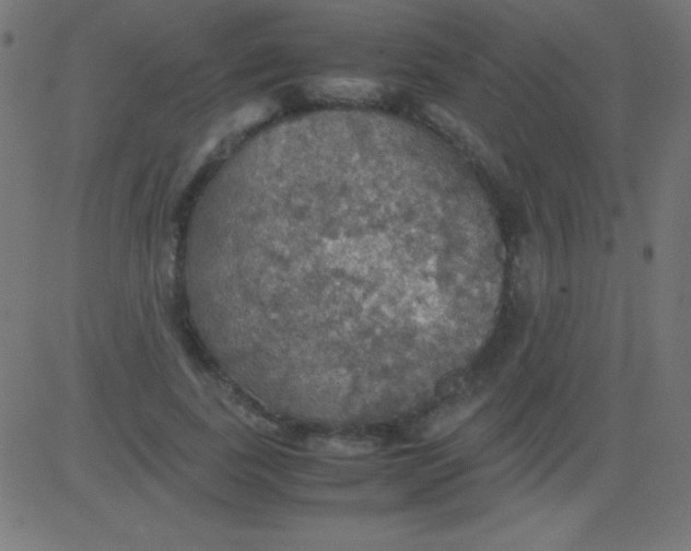 X0000081310739200702012334