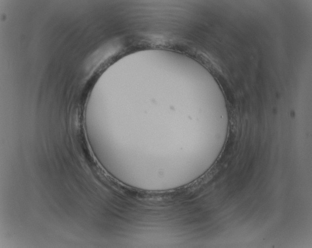 X0000081310740200702012334