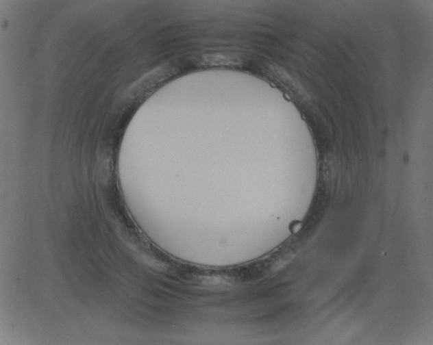 X0000081310741200702012334