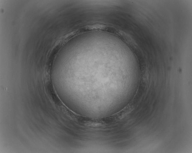 X0000081310743200702012334