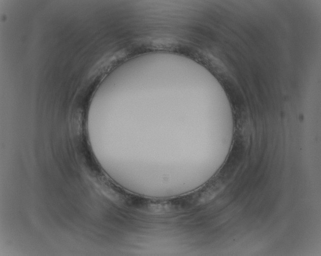 X0000081310744200702012334