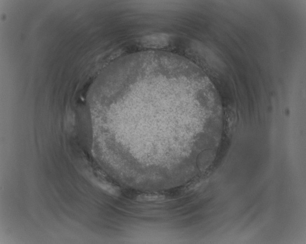 X0000081310745200702012334