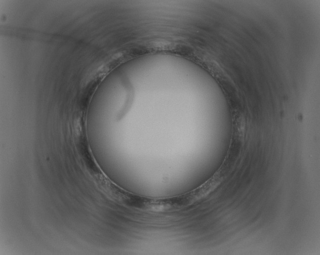 X0000081310746200702012334