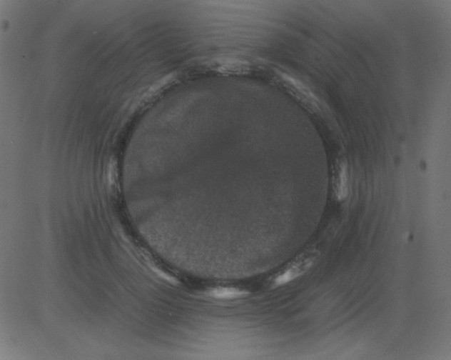 X0000081310748200702012334