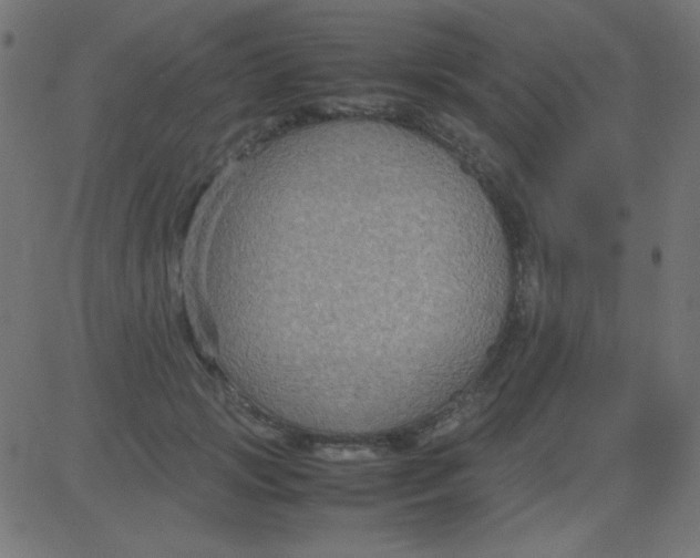 X0000081310749200702012334