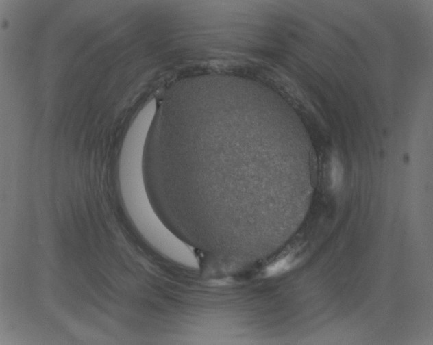 X0000081310750200702012334