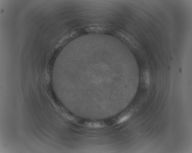 X0000081310751200702012334