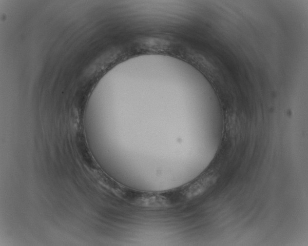 X0000081310752200702012334