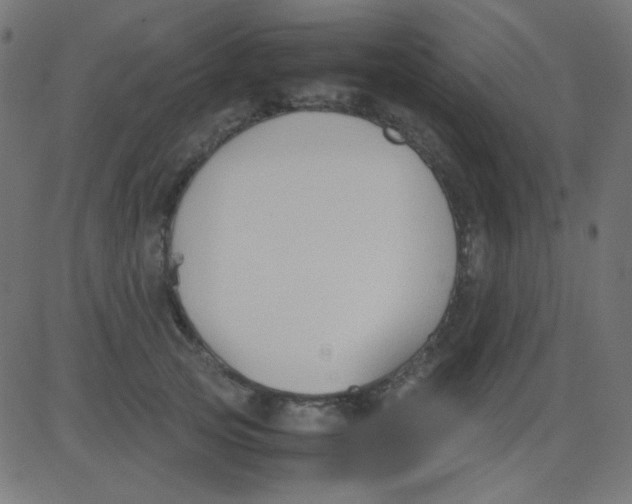 X0000081310753200702012334