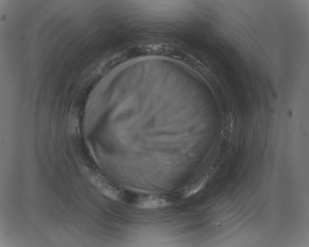 X0000081310754200702012334