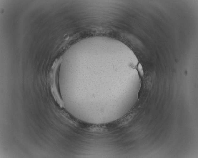 X0000081310756200702012334