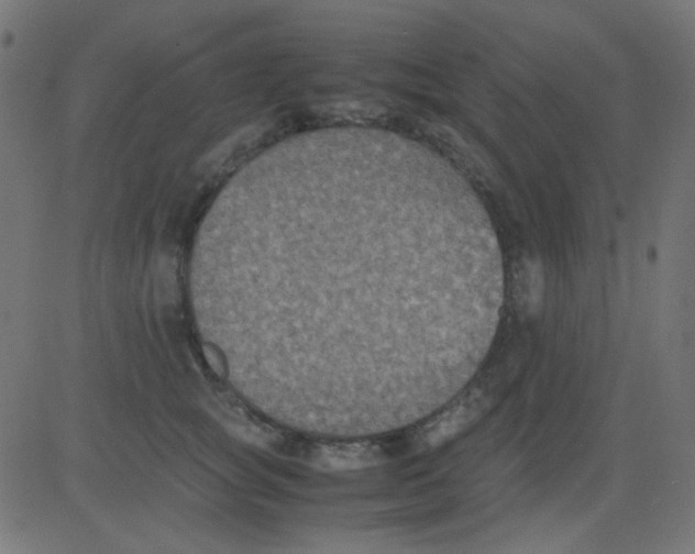 X0000081310757200702012334