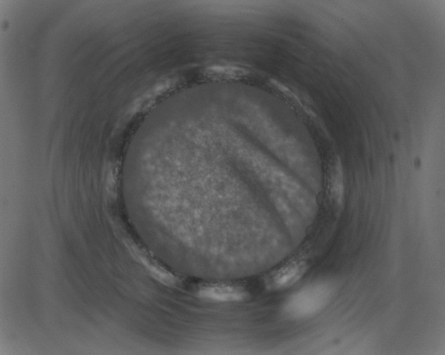 X0000081310759200702012334