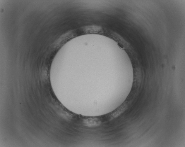 X0000081310761200702012334