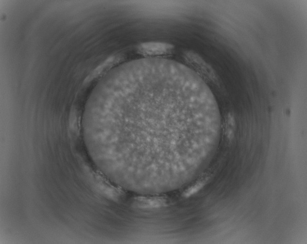 X0000081310763200702012334