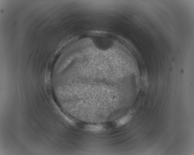 X0000081310765200702012334