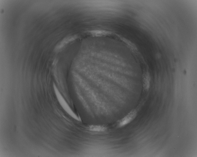 X0000081310766200702012334