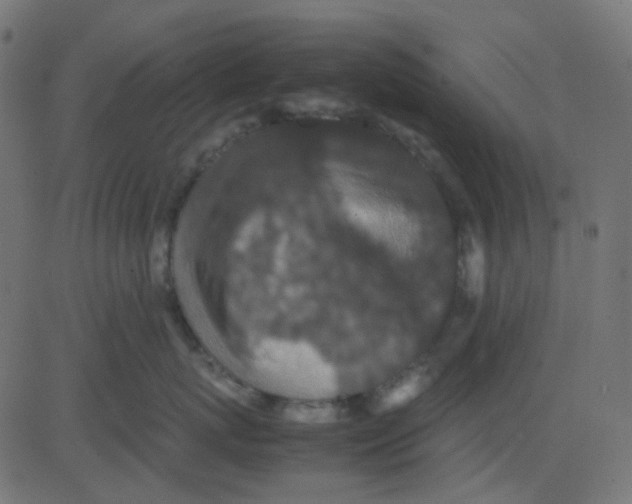 X0000081310767200702012334