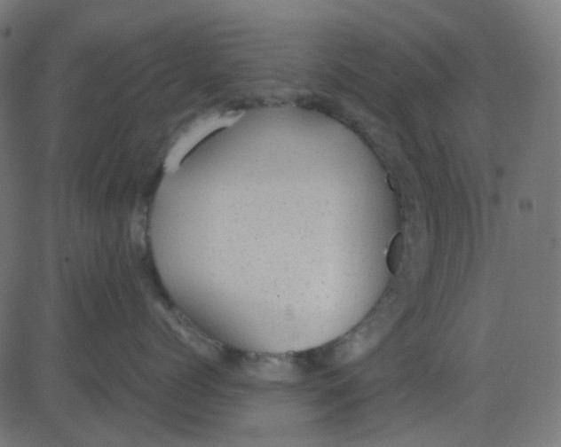 X0000081310768200702012334