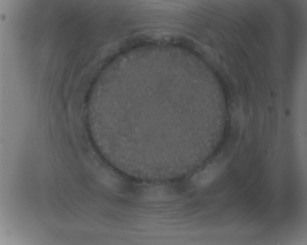 X0000081310769200702012333