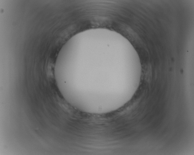 X0000081310770200702012333