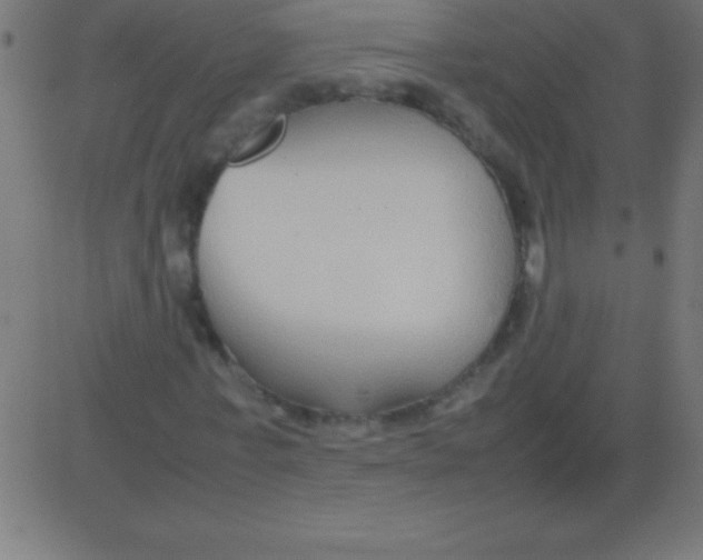 X0000081310771200702012333