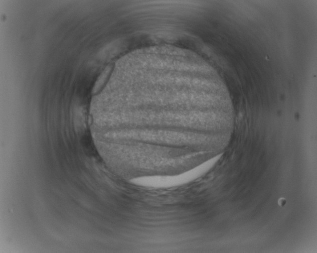 X0000081310772200702012333