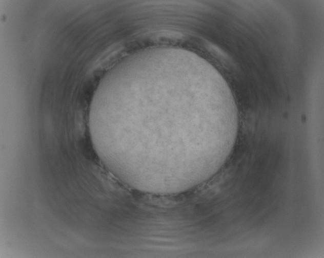 X0000081310774200702012333