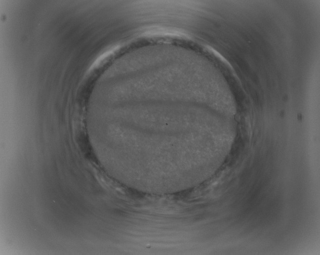 X0000081310775200702012333