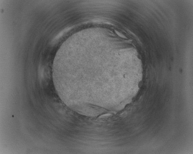 X0000081310776200702012333