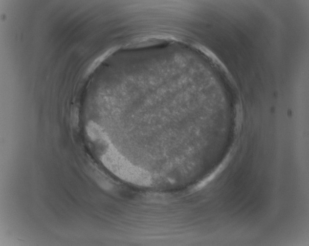 X0000081310777200702012333