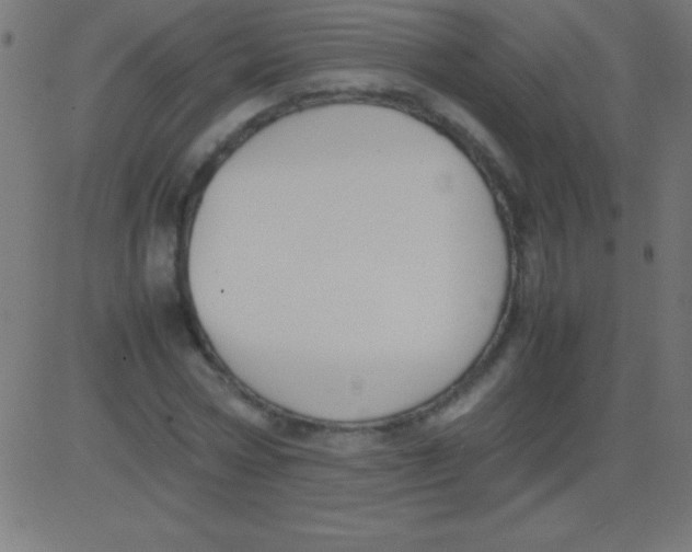 X0000081310778200702012333